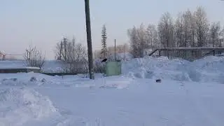 Ворон обедает