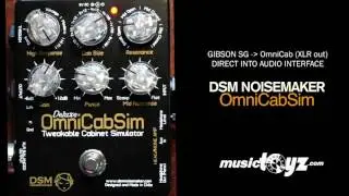 DSM Noisemaker OmniCabsim Deluxe