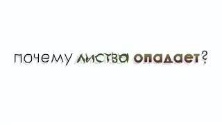 ПОЧЕМУ ЛИСТВА ОПАДАЕТ?