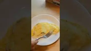 Egg & Omelet Wave As Seen On TV Review Results Short