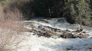 Jordan River is Flowing, Israel 2019 - IZE 1313