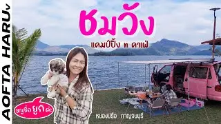 ชมวัง แคมป์ปิ้ง n คาเฟ่ กาญจนบุรี น้องยูกิขอมาวิ่งเล่นด้วยนะคร๊า ลานหญ้าสวยๆ วิวละลายใจ
