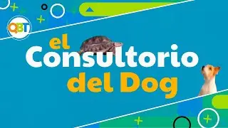 Veterinaria - Lunes 21 octubre  2024