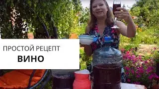 Домашнее вино из черной и красной смородины