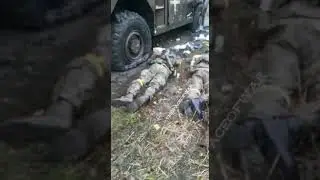 Польские наемники в зоне проведения СВО. #shorts