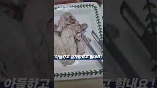 🔊 더워야 물럿거라 #말복#삼계탕 #보양식먹고_화이팅