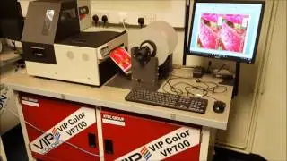 AnyLabel - Colour Digital Label Printing and Cutting - KTEC GROUP UK
