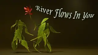 Leaf Short Film  - Yiruma, 이루마   River Flows in You