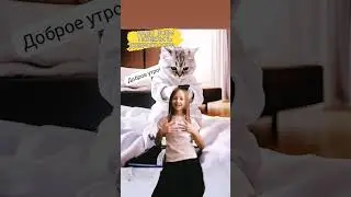 29 января 2024 г.