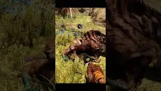 Primal Feast - Far Cry Gameplay Short: Sabertooth's Izila Banquet #gaming #gameplay #shortvideo