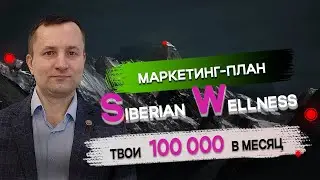 Маркетинг-план 2024 Siberian Wellness / Сибирское здоровье. Твои 100 000 рублей в месяц.