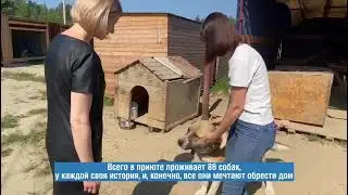Боби и Джемма