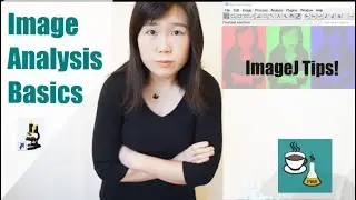 ImageJ 101 For Every PhD with Image Data!