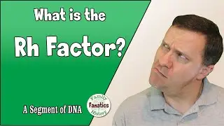What is the Rh Factor in DNA? | Genetic Genealogy Explained