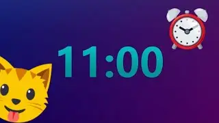 11 minute Timer with LOUD Alarm [No Music]