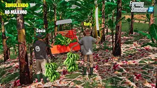 Vida de colono | Colhendo banana em Santa Catarina | Farming simulator 22