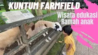 Kuntum FarmField Bogor ||  Wisata Edukasi Ramah untuk anak
