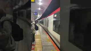Narita Express arriving Tokyo Station.