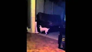 Beasley Playing