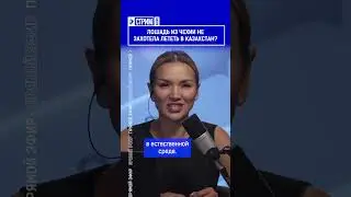 Лошадь из Чехии не захотела лететь в Казахстан? Полный выпуск смотрите по ссылке в шапке профиля