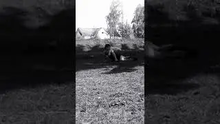 Забив 1на1 часть 2