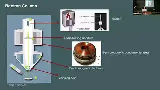 CNS Imaging Seminar Series 2024: Scanning Electron Microscopy - Imaging & Analysis