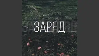 Заряд