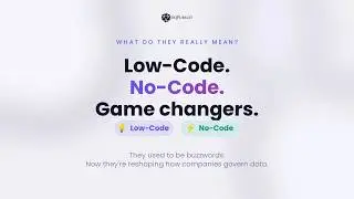 Low-Code vs No-Code: How DQ Pursuit Covers Both | DQ Pursuit