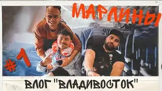 Марлины - Влог 