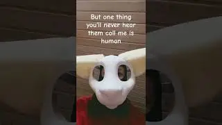 true 