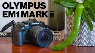 Olympus E-M1 Mark ii 4K Cinematic Sample Footage