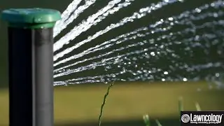 ANYONE can install this EASY SPRINKLER SYSTEM. DIY!