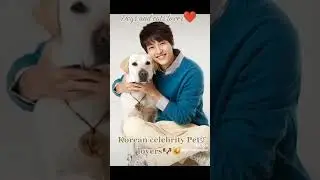 Korean celebrity Pet lovers 🐩🐕