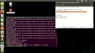 How To Install Winamp in Ubuntu 16.04