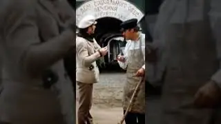 В вашем городе женихи требуются? Невесты есть? Кому и кобыла невеста!