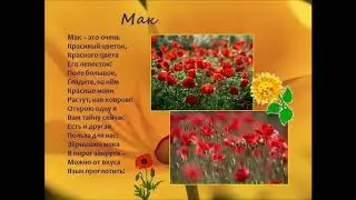 "Музыкальный букет"