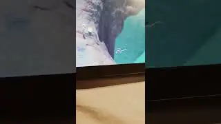 he falled