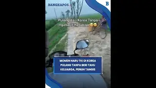A touching moment when a migrant worker in Korea returned home without telling his family, and wa...