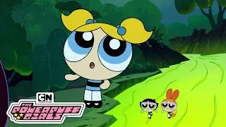 Arachnid Attack! | The Powerpuff Girls | Cartoon Network