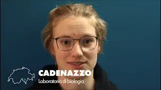 International Day of Women and Girls in Science 2023: Women and Girls at WSL Cadenazzo