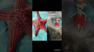 Мои энчантималс в реальной жизни👌🏽