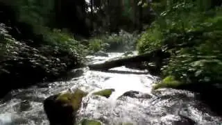 Пешеводный поход Хор Анюй 2014