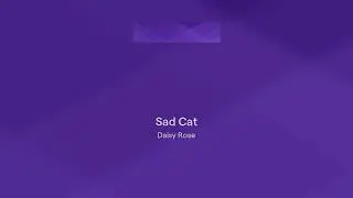 Sad Cat