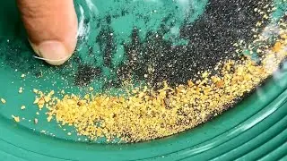 SHOCKED THE WORLD..,! AMAZING GOLD DISCOVERY, GOLD PROSPECTING, GOLD RUSH, TRADITIONAL GOLD PANNING