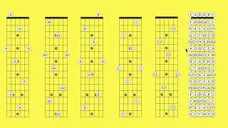 The Octave Shape on Guitar and the Half Steps