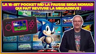 la 16 Bit pocket MD la fausse Sega nomad