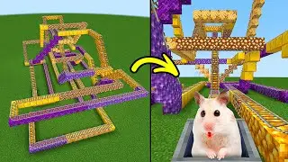 Hamster in Roller Coaster Rainbow Maze in Minecraft
