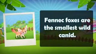 ZooCraft: Fun Facts Time! Vol. 7 (Fennec)