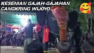 GAJAH GAJAHAN DALAM RANGKA HUT RI KE 79 PEMUDA MIBER (MIRI BERSATU) KARANGLO KIDUL JAMBON PONOROGO