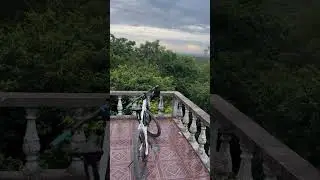 Hello nature 